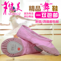 Children Dance Shoes Practice Shoes Softbottom Girl Adult Male Toddler Dancing Leather Head Ballet Shoes Pink Cat Paw Shoes
