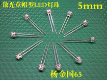 Factory Direct Astigmatism Straw Hat Type LED Lamp Beads (Light Emitting Diodes) 5MM (20 starting shots)