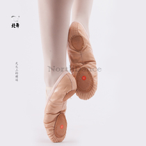 Adult children pigskin ballet shoes soft-soled dance shoes folk dance belly dance shoes cat claw shoes teacher shoes girls