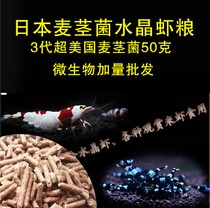 Japans wheat stem bacteria crystal shrimp grain 3 generation 50 gr loaded with microbiome Calorie Rush of Cherry Blossom Extreme Fire