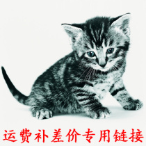 Madian Laozhao love pet shop postage fee compensation price special shot page full amount free shipping do not shoot this page do not comment
