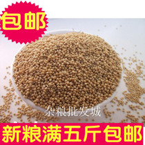 Yellow millet with Shell millet millet millet tiger skin peony Xuanfeng Wen bird bird food bird feed 500g Full 5kg