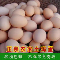 Alpine free-range soil eggs Fresh firewood eggs stupid eggs Farm self-raised grass eggs 30 broken bags claim