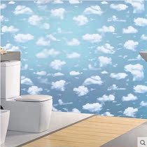 Blue sky and white clouds High-grade glass film window grille paper frosted opaque color decorative furniture sliding door sticker windows