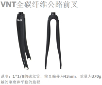 Van Nicholas Van Nicholas VNT Full Carbon Fiber Road Front Fork Bike