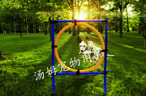 Pet training supplies dog jump ring ring training sensitivity jump rod dog outdoor sports equipment