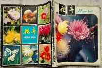 Second-hand Color Illustration version of flower straw wood flowers Multi-buy province postage