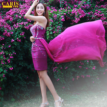 caris new luxury sexy slim-fit evening dress long banquet annual meeting auto show model catwalk performance dress