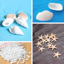 Pure natural shell White Shell white coconut shell natural conch shell plastic starfish mini millet snail