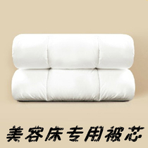 Beauty quilt cotton core flocculation beauty salon body massage bedspread four-piece quilt core spring autumn and winter quilt thickened