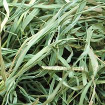 At that time the whole leaf Nanti Timothy grass Totoro Rabbit Rabbit Pet Forage Grass Dried Fresh Fragrant Tender Green Multi-Province