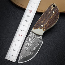 Imported Damascus steel knife High hardness small straight knife Outdoor self-defense survival hunting knife Sabre collection knife
