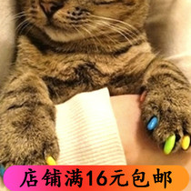 Fashion eco-friendly cat dog nail cover 1 bag 20 grain delivery glue cat dog anti-cosmetic nail cover baggy