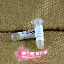 H. Pylori ~ Cherry Blossom Season DIY Skin Care Products Handmade Soap Lip Balm Cream LIP BALM Original Essence 1ML Thailand