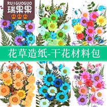 Embossing diy ancient papermaking dry flower material package Childrens handmade papyrus bookmarks real flower plant specimens