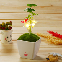 Five-pointed star flower lucky grass potted plant touch desktop lamp bedside night light sleep Light Night Light
