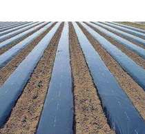 New material thickened agricultural plastic black film Black film 1 meter 1 5 meters 2 meters wide weeding special black film
