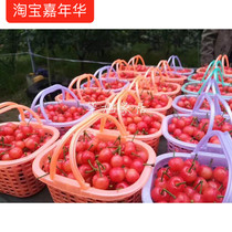 Cherry basket 1 5 kg blueberry picking basket 1 7 kg strawberry basket Childrens portable basket small object storage