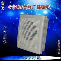 Lei Wang Ming installed 6-inch 10W campus public broadcast background music wall-mounted speaker constant pressure horn teaching room audio