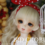 (CROBIDOLL)1 4 BJD reprint limited heidi (Korea)