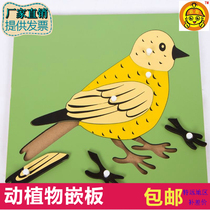 Montai Montessori Montessori early education aids animal plant panels kindergarten childrens educational wooden toys
