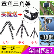 SLR Camera tripod Portable Octopus bracket Mobile phone Tripod Digital micro single camera Octopus bracket