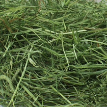 Drying the new Timothy grass rabbit hay Timothy grass rabbit food