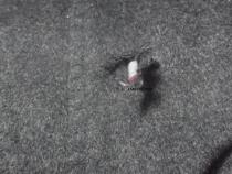 Seiko darning woolen coat sweater knitwear mending cashmere coat down jacket embroidery mending Changsha Taobao