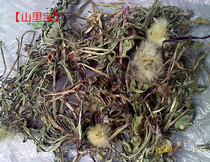 Selected high-quality dry wild dandelion whole plant dandelion edible agricultural products yellow flower Diding mother-in-law Ding Huahualang