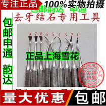 Oral dental cleaner dental cleaner dental tooth - cleaning dental stone cleaning dental probe packed separately