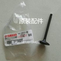 Yamaha Petrol Dynamo Original Plant Accessories EF4000 EF4000 EF5200 EF6600 5500 EF6600 Into The Exhaust Door