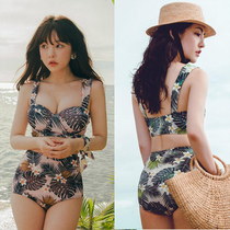 South Koreas new swimsuit female sense high waist belly cover split triangle bikini wide shoulder strap small chest steel bracket hot spring outfit