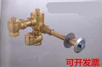 Press hidden flusher prison brass TO flush valve concealed hand button self-closing delay valve