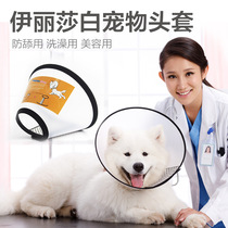 Elizabeth Circle Puppy Anti-bite Cat Scratching Cat Hood Neck Collar Large Canine Wool Teddy Neckline Pet Supplies