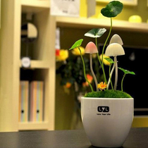 Energy-saving ceramic Avatar mushroom lamp potted LED light control sensor lamp creative ornaments bedroom night light