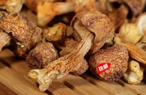 500g new products on the market Changbai Mountain matsutake dry slices Matsutake Agaricus Agaricus matsutake