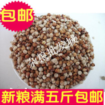 Red and white sorghum mixed sorghum 500g with Shell sorghum pigeon Parrot Bird Grain