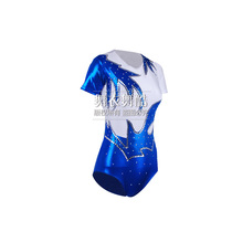 Professional custom bodybuilding aerobafield acting out of uniform a sweatwear Volkswagen Playground Clothing JJ4566