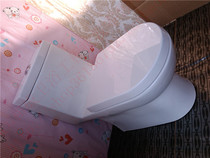 HCG and sanitary bathroom C4520NT congestion mute toilet double press water injection flush slow-down seat