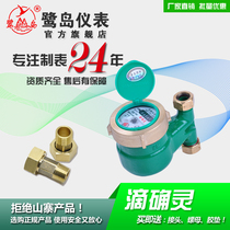 Ludao LXSLY series iron shell vertical cold water meter dripping meter accurate measurement recommended rental room use