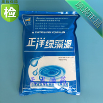 Green algae species for aquaculture fertilizer and water for aquaculture Diatom species Chlorella species Compound algae species 1000g