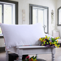 Brushed edge pillow Mulberry silk pillow Hotel pure cotton pillow Neck pillow Single and double adult pillow pillow