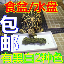 Rectangular reptile tortoise food bowl water tray water basin environmentally friendly rectangular bathing basin Black and White buy 1