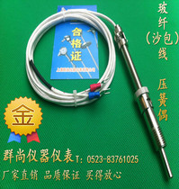 Pressure spring thermocouple glass fiber wire reed couple temperature probe K E factory direct sales temperature sensor