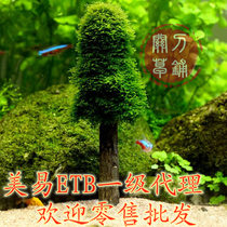1 piece of beauty ETB Christmas tree Moss tree fish tank water straw cylinder crystal shrimp cylinder Moise View