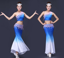 Dai costume female dance peacock dance performance suit hip fishtail skirt art exterior painting constant constant current oil paper determination