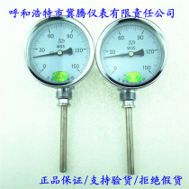 Bimetallic thermometer WSS-481 stainless steel industrial thermometer Boiler disc thermometer Radial custom