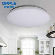 Opple Lighting led Ceiling Lamp Balcony Lamp Round Modern Minimalist Lamp All White Parrot Lily Fireworks