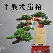 Simulation welcome pine bonsai Cliff cypress potted green plant ornaments Fake tree entrance Indoor bonsai jewelry Chinese floral art