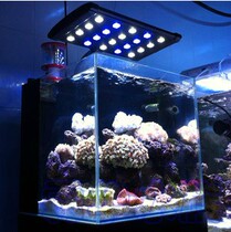 Odyssey high power 3W4 row aquarium fish tank seawater coral LED light 38-180cm